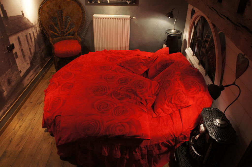 Aux Logis De La Solre Bed & Breakfast Ferriere-la-Petite Bilik gambar