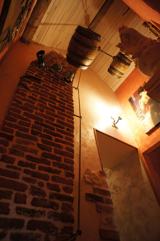 Aux Logis De La Solre Bed & Breakfast Ferriere-la-Petite Luaran gambar